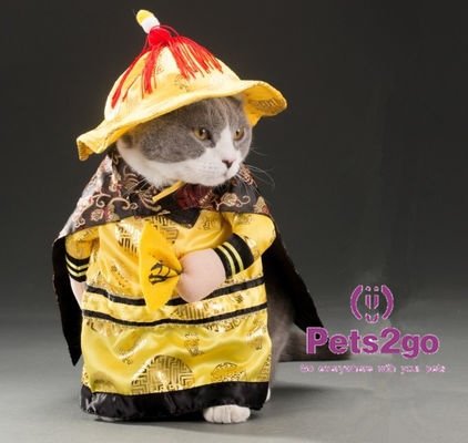 Pet Ancient Colourful Multiple Styles Beautiful Christmas Clothes Wholesale
