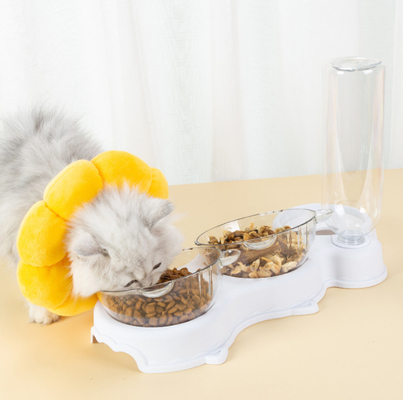 Best Feeding Bowls For Cats Automatic Cat Feeder Microchip