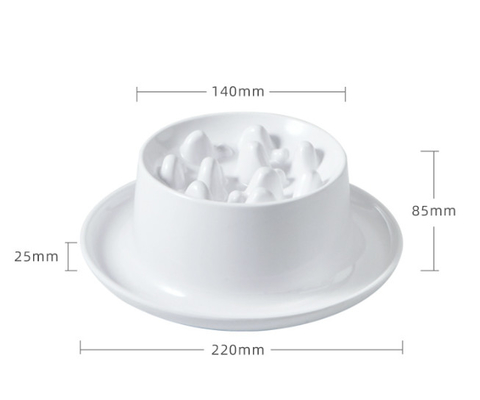Raised Pet Ceramic Slow Bowl For Cats And Small Dogs Feeding Station