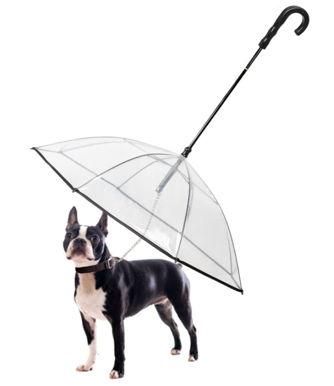Dog Leash With Umbrella Attached Extendable For Small Dogs Adjustable