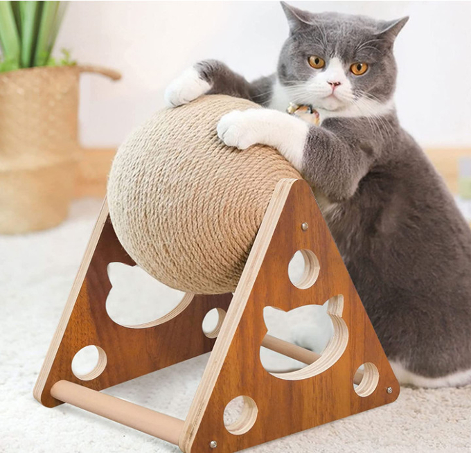 볼 고양이 스크래처