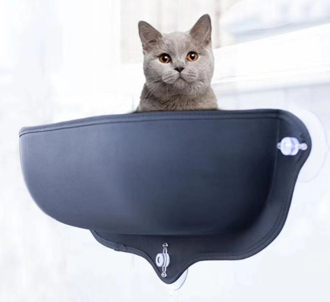 작은 고양이 둔덕