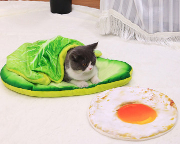 집에서 만들 고양이 침대