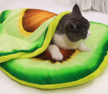 집에서 만들 고양이 침대