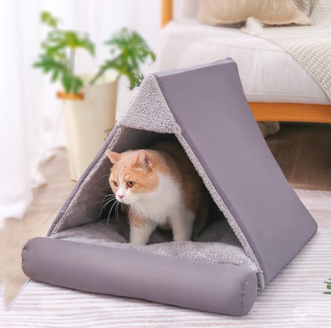 가정과 큰 고양이 침대